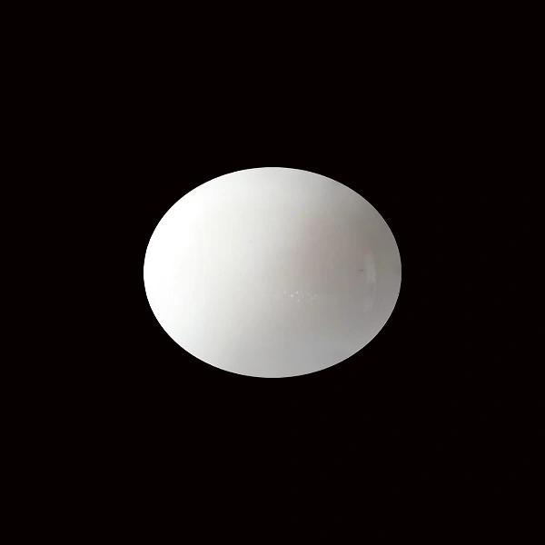 White Coral - 5.41 carats